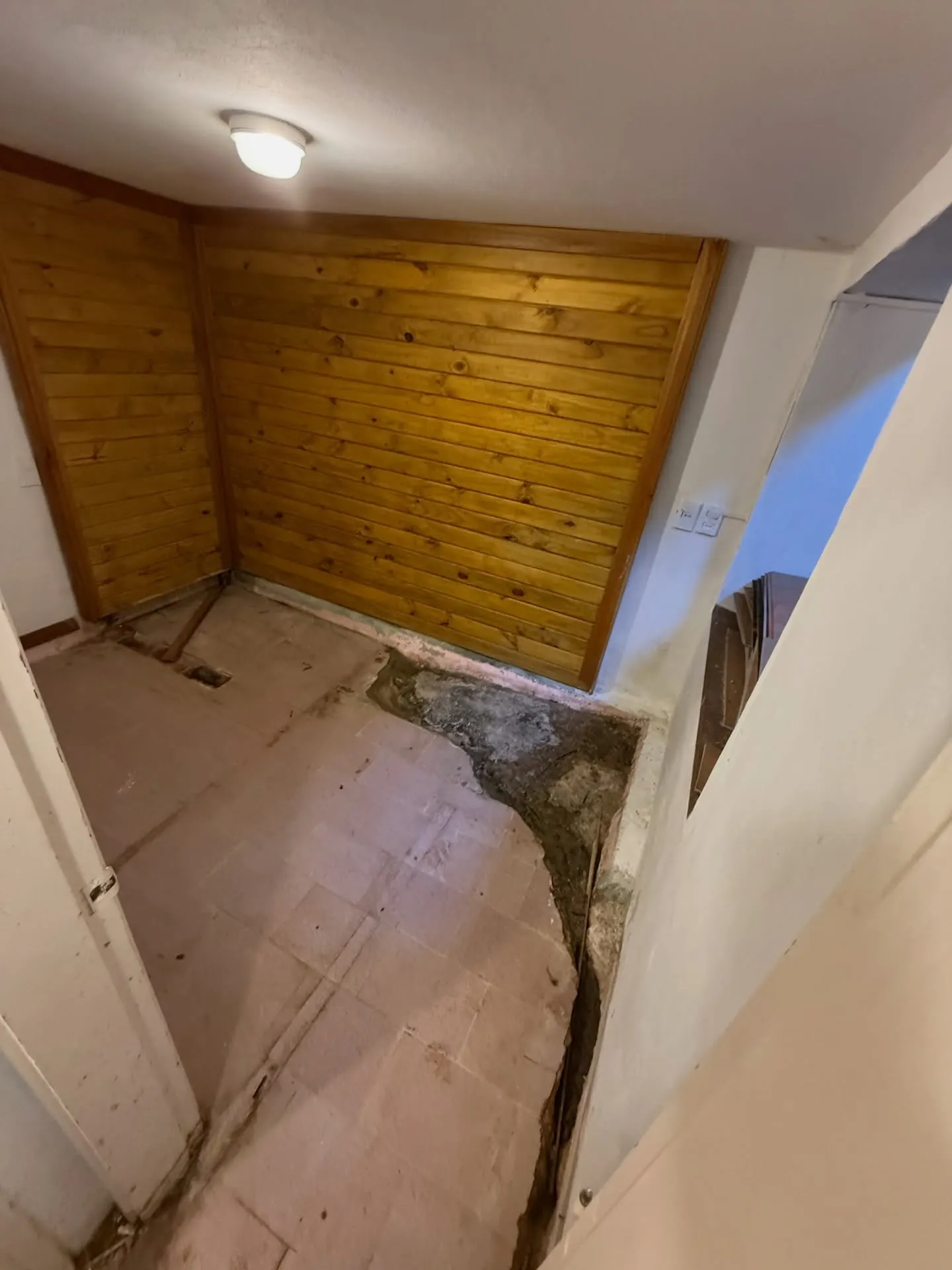 Retiro de piso de madera existente, ejecución de drenajes por vertientes naturales, pintura y colocación de piso nuevo — fotografía de obra