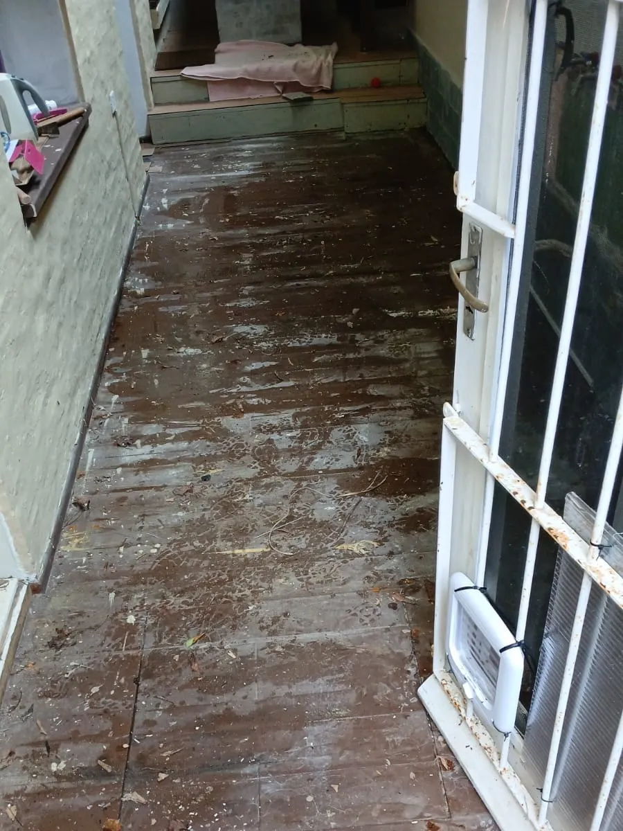 Retiro de piso de madera existente, ejecución de drenajes por vertientes naturales, pintura y colocación de piso nuevo — fotografía de obra
